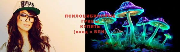 дживик Аркадак