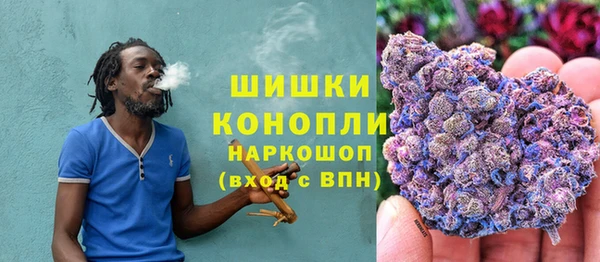 дживик Аркадак